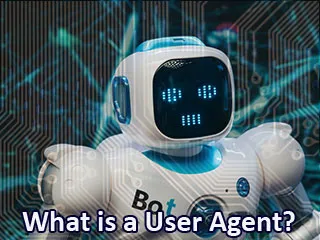 Robots.txt